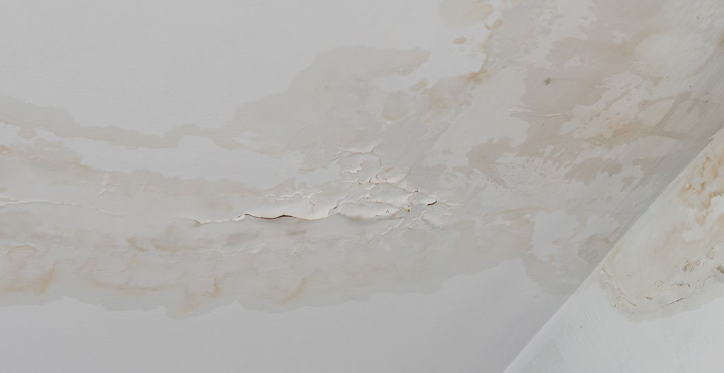Tache d'eau brunâtre au plafond causée par infiltration de toiture dans maison québécoise